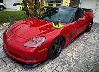 2008 Chevrolet Corvette