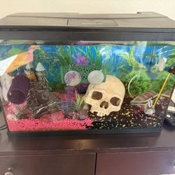 5 Gallon Fish Tank