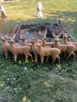 Set Of 8 Deer Blow Molds 