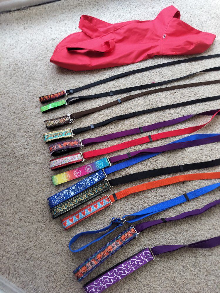 Lot's of Dog 🐕 Leashes And 1doggy Rain RED 🌧️ Coat 