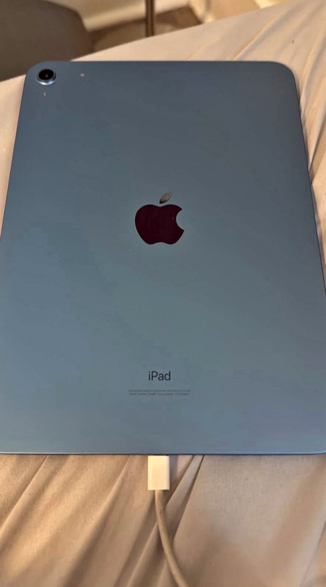 iPad 10th Gen 256 GB