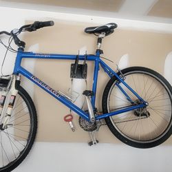 Raleigh m800 mountain bike sale