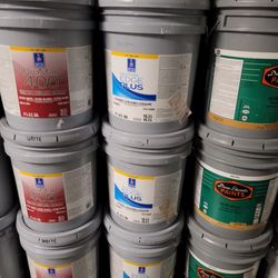 Paint For Sale 