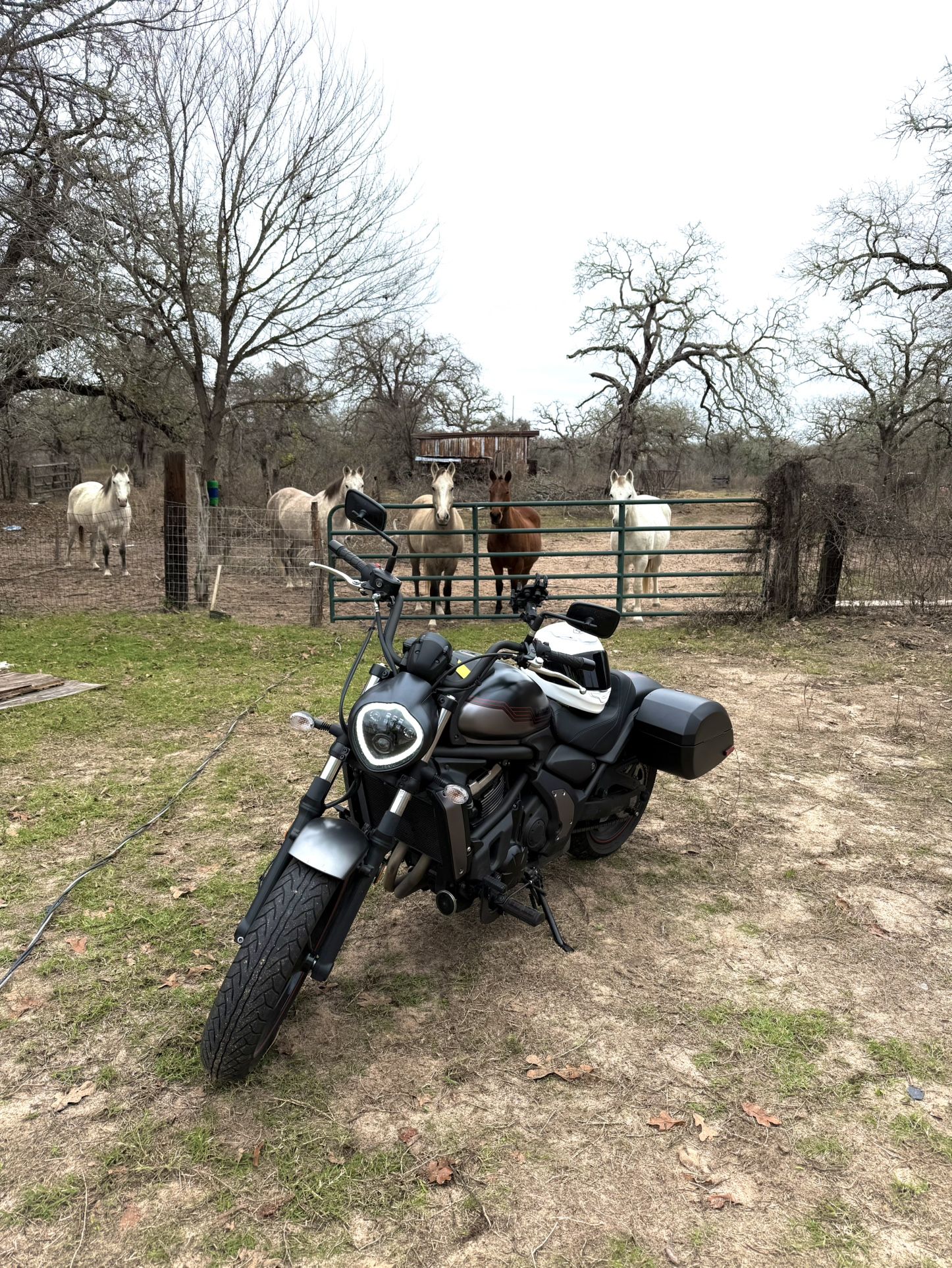 2025 Kawasaki Vulcan S