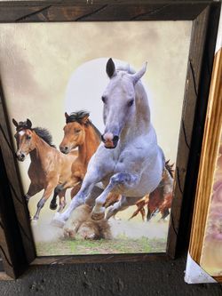 Horse Frame