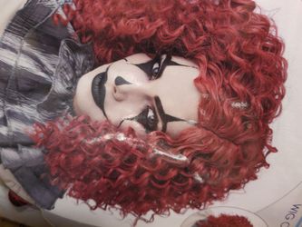 Adult male and female scary clown costumes and extra wig