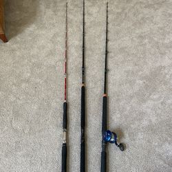 Shimano Terez, Fishing Syndicate, Avet Jx