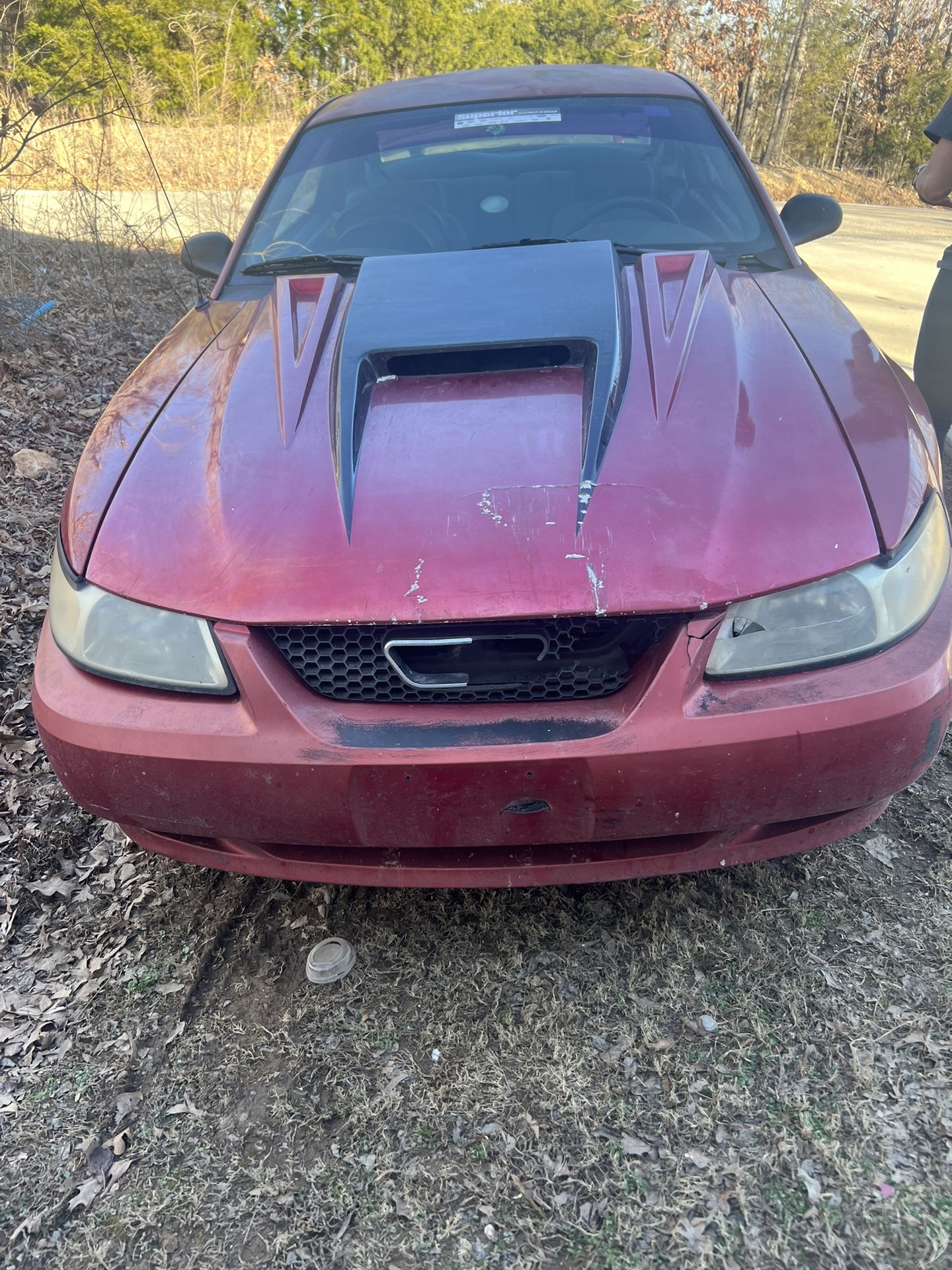 2000 Ford Mustang