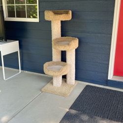 Cat scratching post