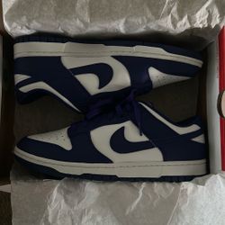 Brand New Blue Dunks Lows