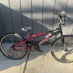 Haro 1 SR Mini BMX Bike