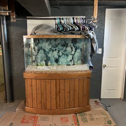 90 gallon fish tank