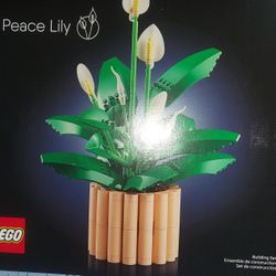 Lego Set