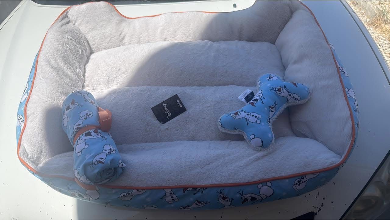 Dog Bed New