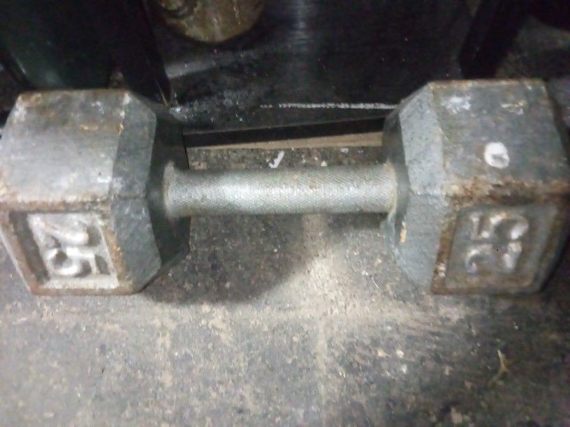 25 Lb Dumbbell