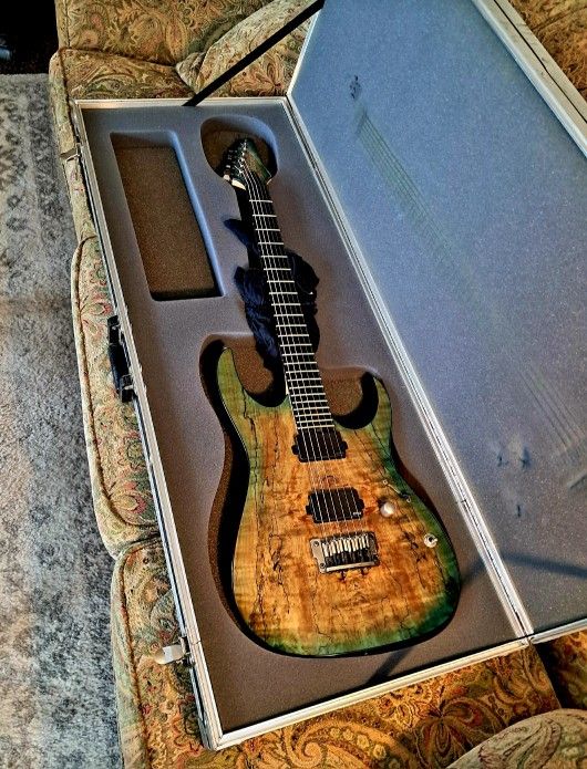 Ibanez Electric Guitar