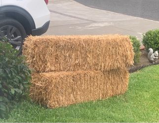 Hay