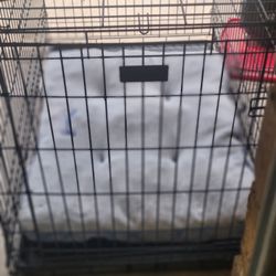 Big Dogs Pen
