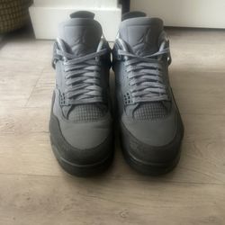 Paris Olympics Jordan 4 Size 10.5 