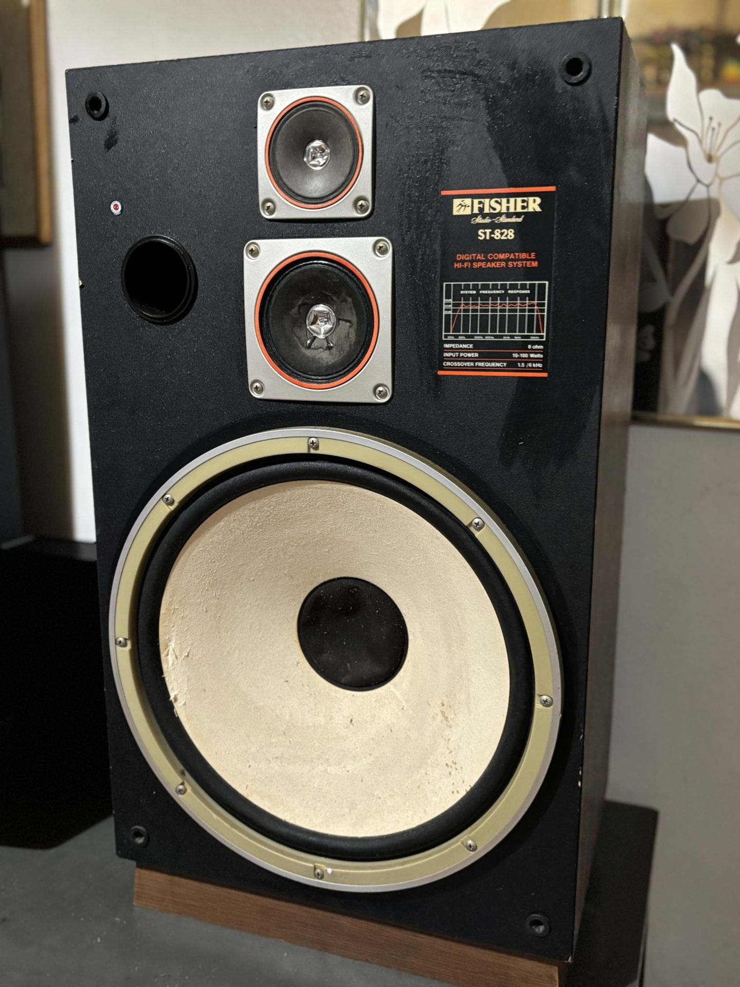 Stereo System Speaker