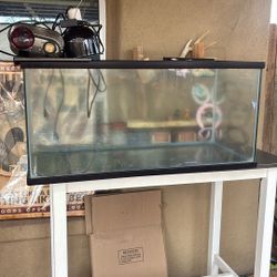 Fish Tank/aquarium  