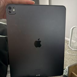 iPad Pro 13in M4 WiFi + Cellular 