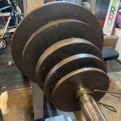 Bench Press With Weights / Adjustable Dumbbells 