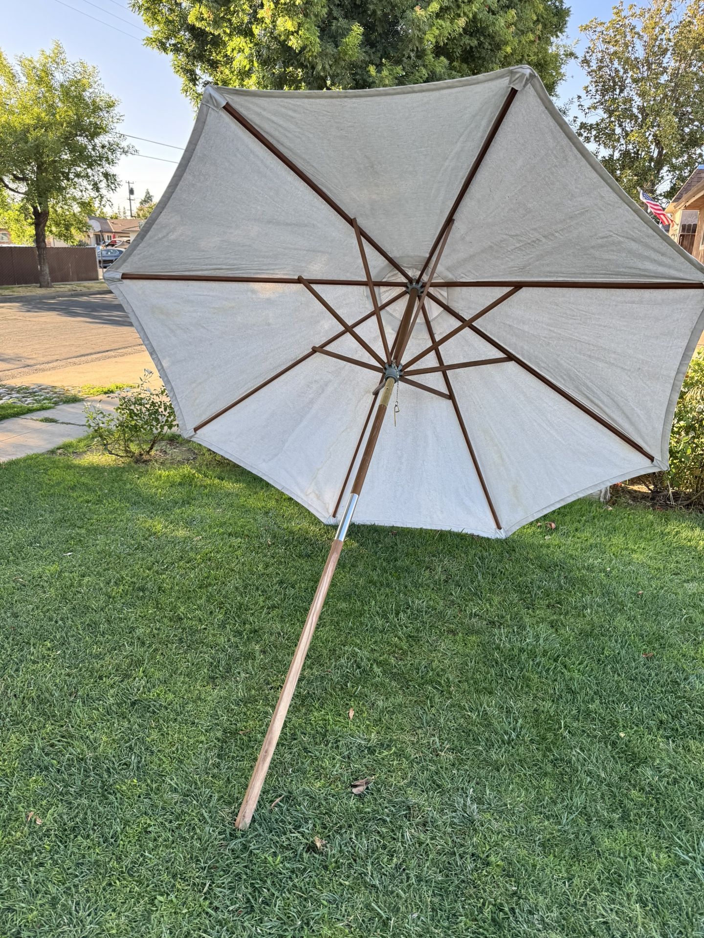 Umbrella 25