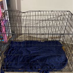 Large Dog Kennel