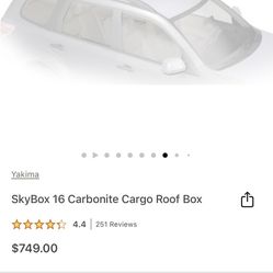 Yakima Cargo Roof Box