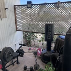 Miscellaneous Gym Equipment  (not Free!)