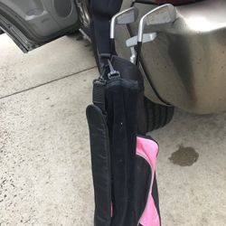 Pink Youth Gold Club Set