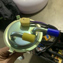 Fuel Pump / Sending Unit 