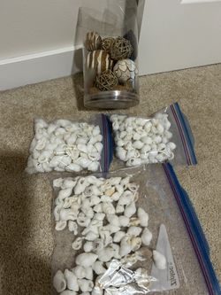 Decor And Shells Bundle