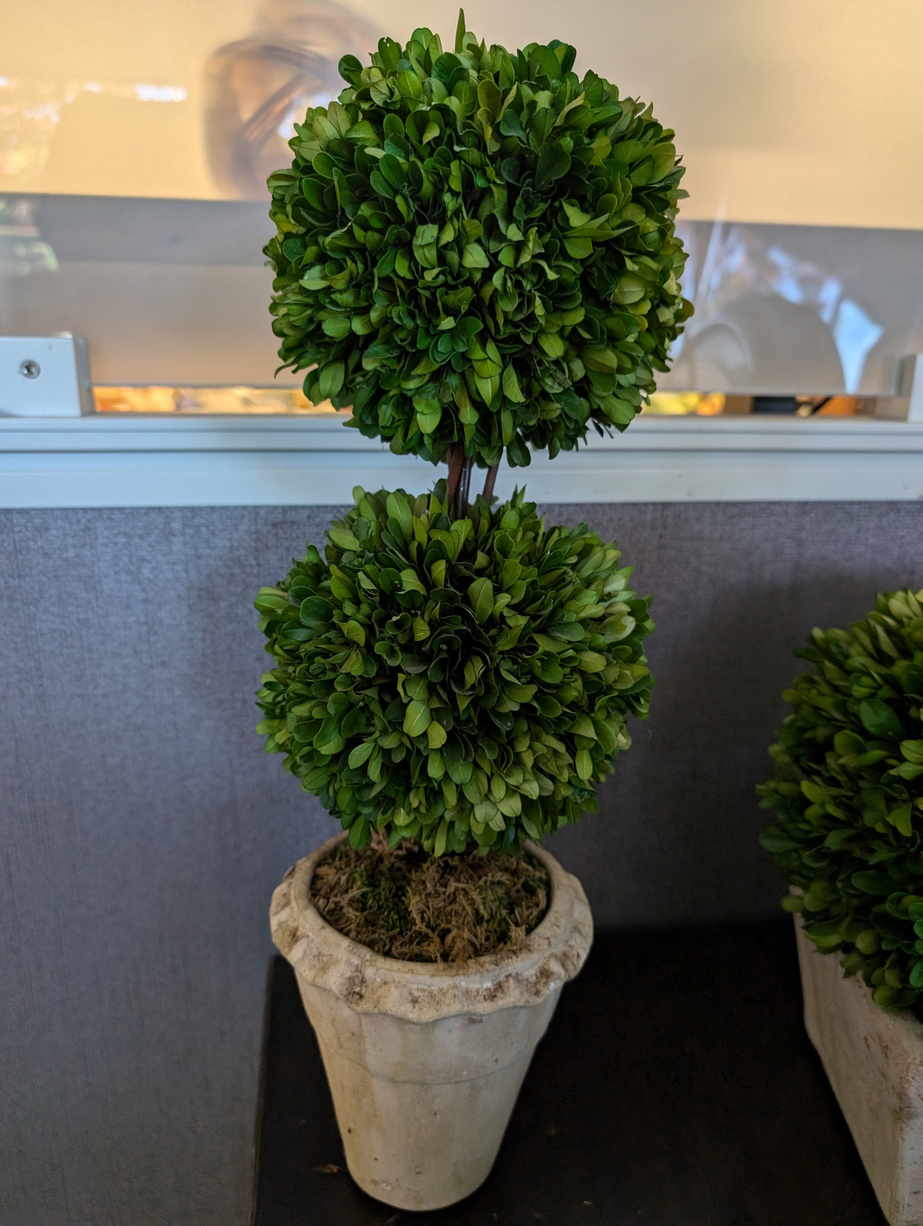 Decorative Faux Boxwood Topiary Plant