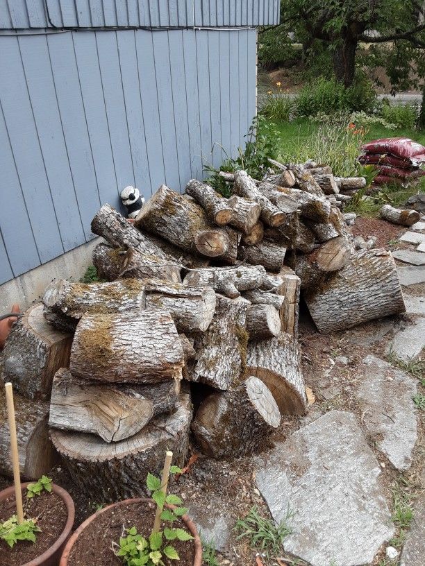  Oak Firewood 