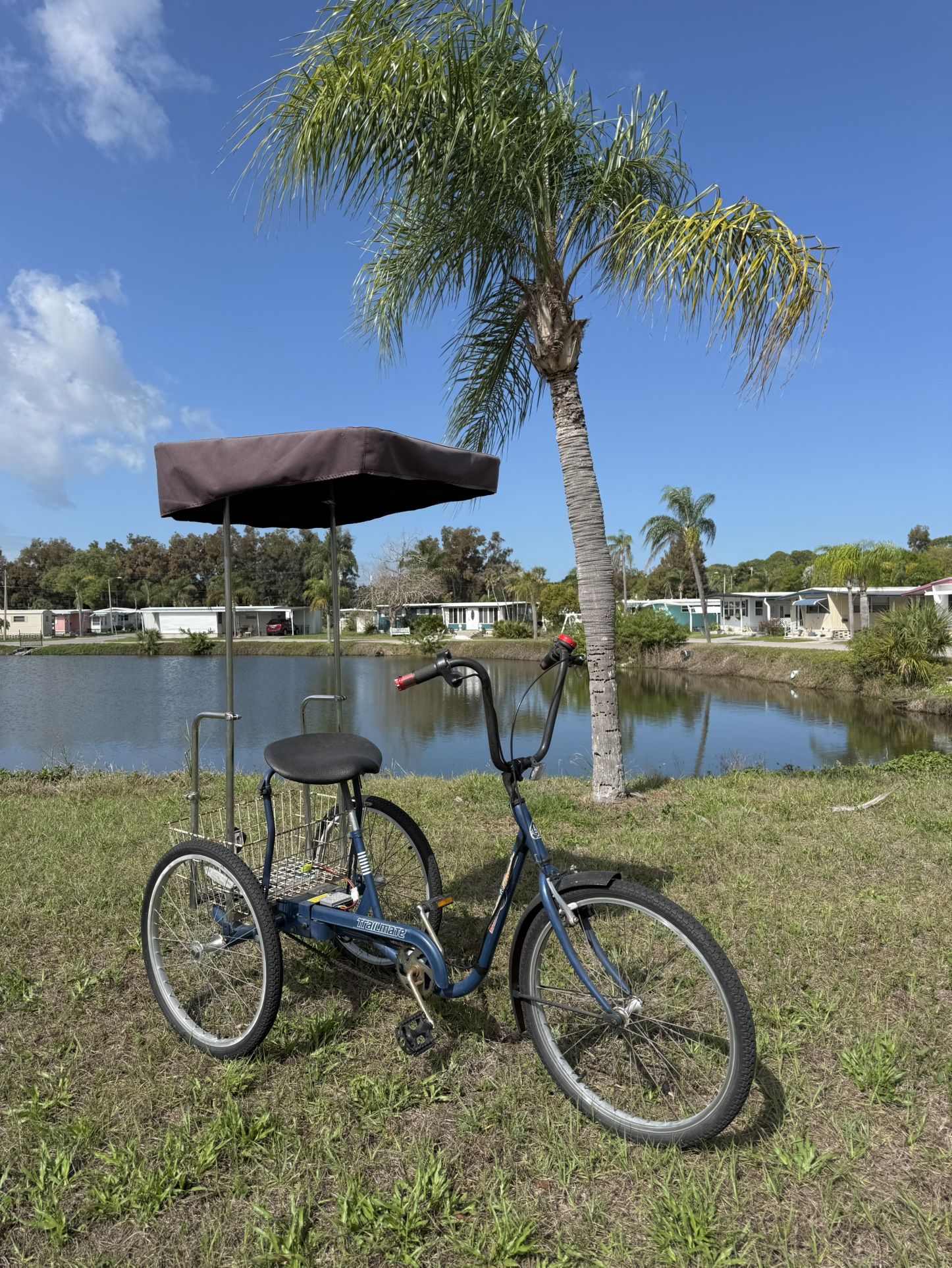 Adult Trike electric assisted