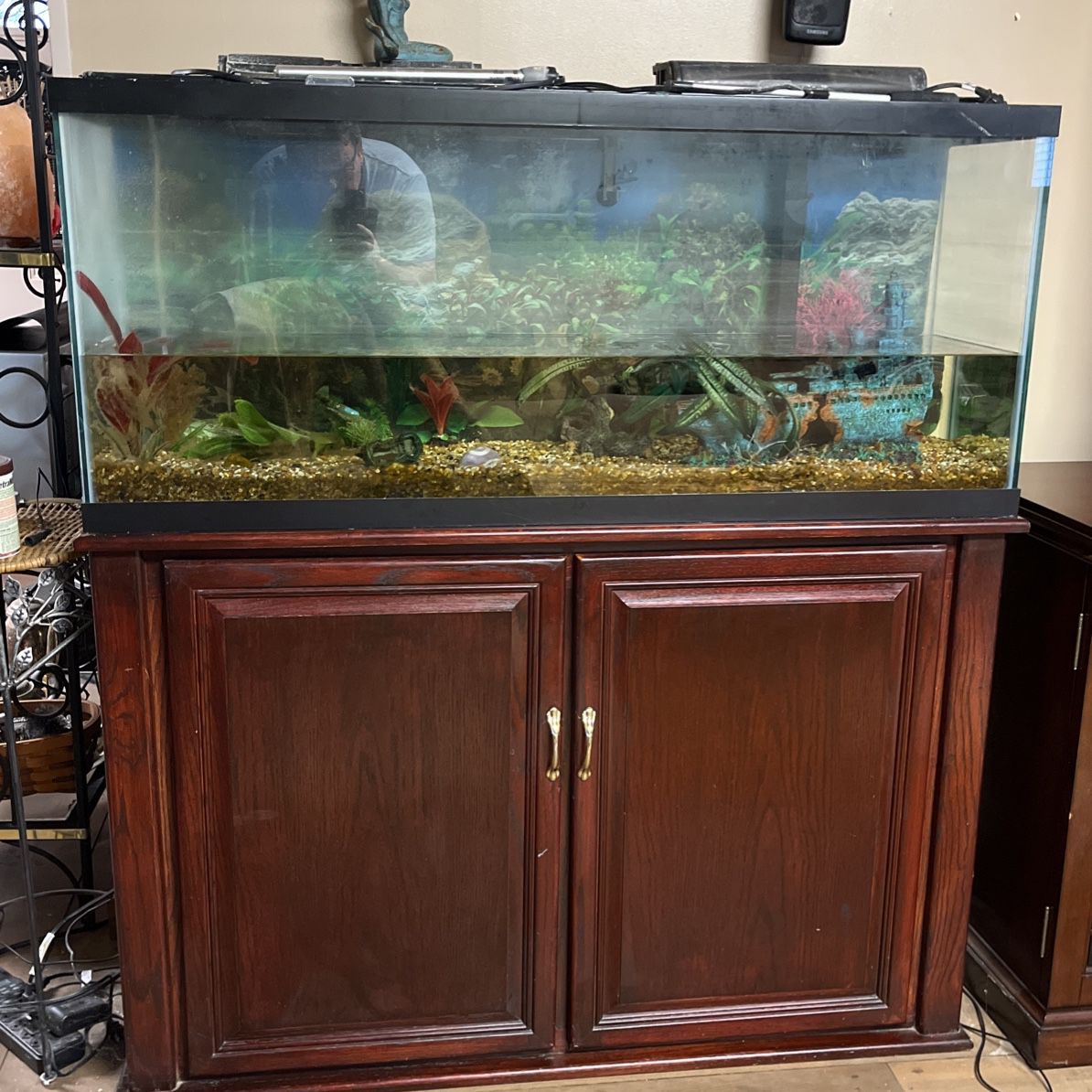 50 Gallons 