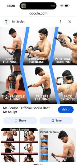 Mr SCULPT gorilla bar