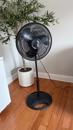 Lazko Fan