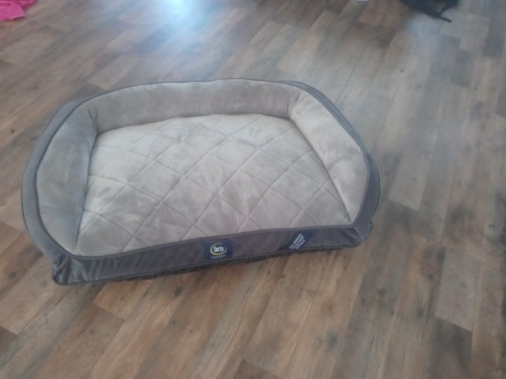 Dog Bed New