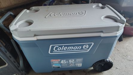 Ice chest