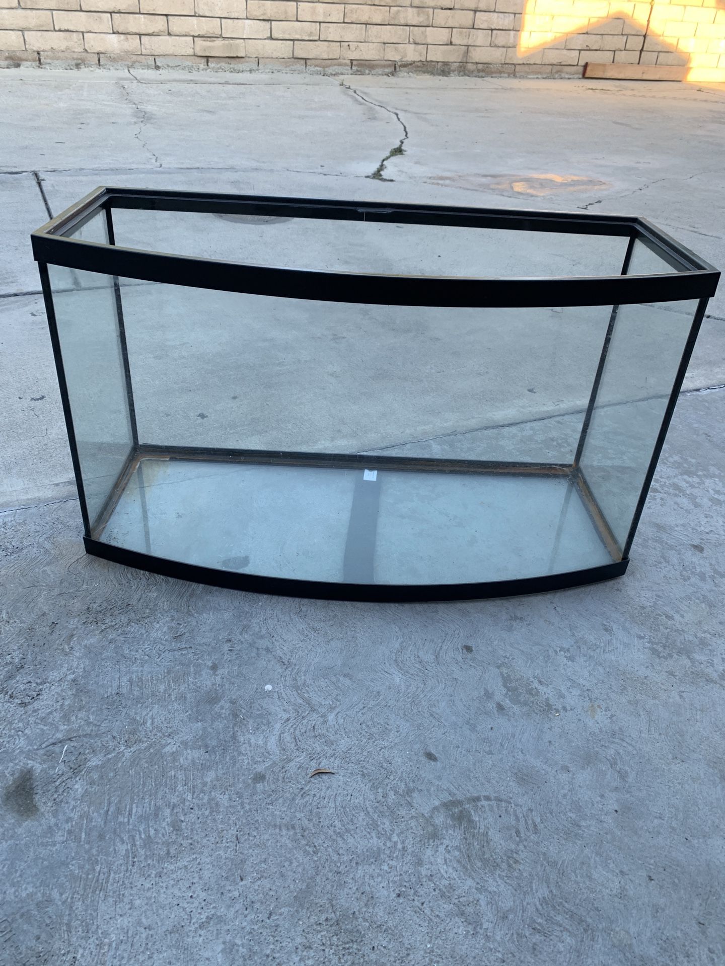 Fish Tank