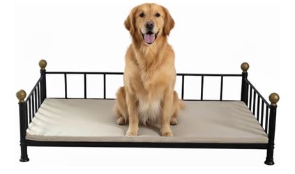 Brand New In The Box- XL Dog Bed – Fade-Resistant, Comfortable & Durable Pet Mattress – 49” x 31.5” x 14.5” – Ideal for All Breeds – Black Square Shap