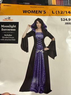 Moonlight sorceress costume