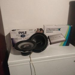 Speakers And Amps For Sale , 12" And 10"  Kickers , Pyle ,Rockford  Punch