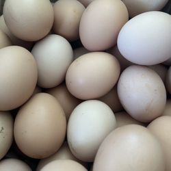 Huevos De Rancho 