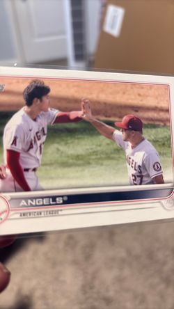 Shohei Ohtani