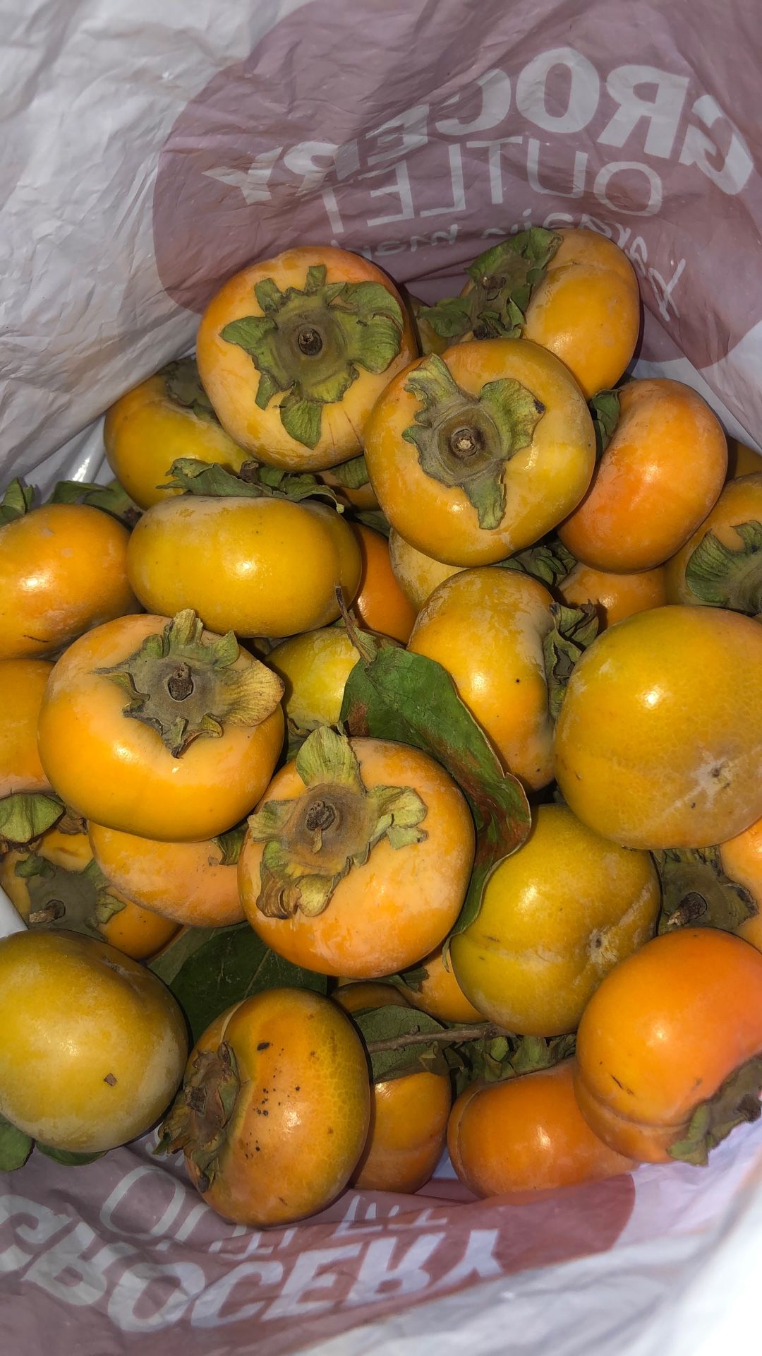 Persimmons
