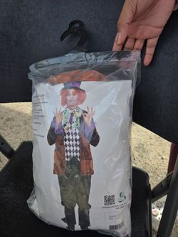 Mad Hatter Adult Halloween Costume Large